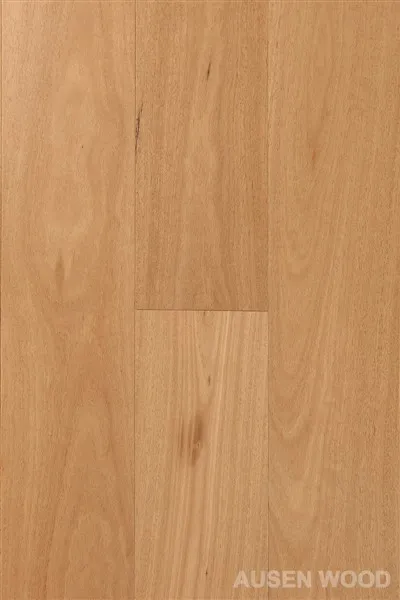 Murray-prancha plana Blackbutt